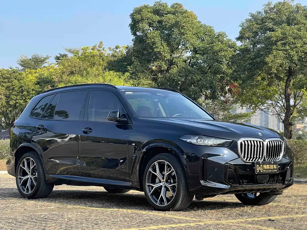 BMW X5 2023 xDrive 30Li Exclusive M Sport Night Edition - фото 3