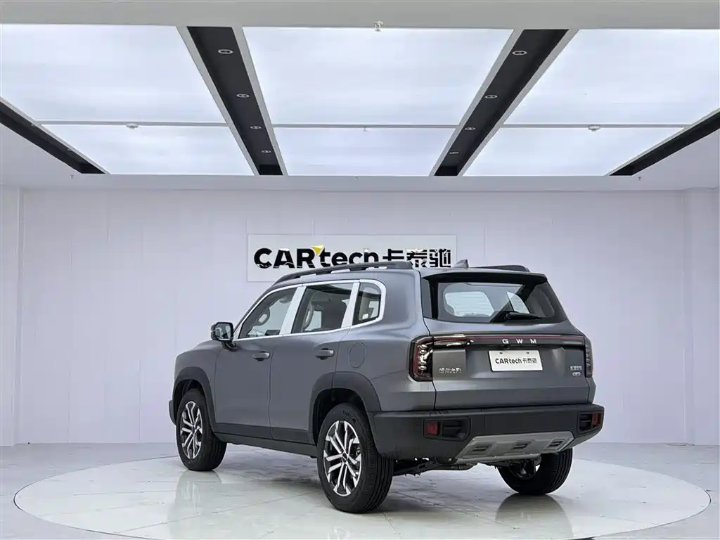 Haval Big Dog 2026 2.0T DCT Chinese Rural Dog Edition