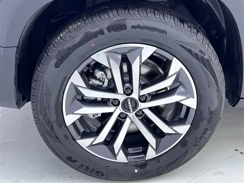 Haval Big Dog 2026 2.0T DCT Chinese Rural Dog Edition