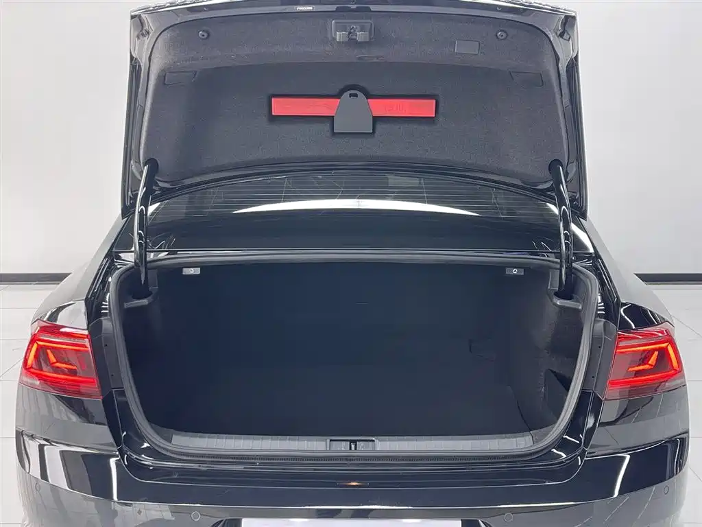 Volkswagen Magotan 2020 330TSI DSG Leading Edition