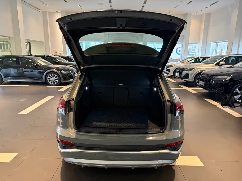 Audi Q4 e-tron 2024 40 e-tron Launch Edition - фото 7
