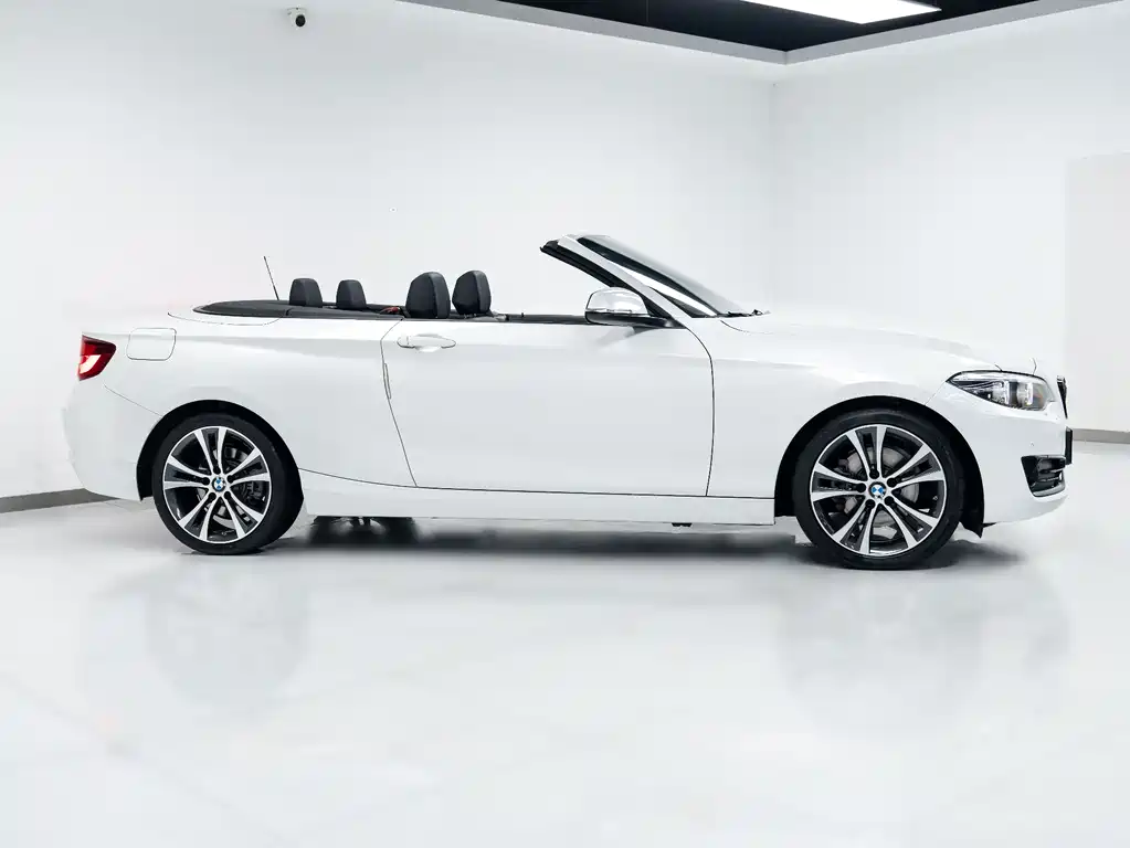BMW 2 Series Convertible 2019 225i M Sport Package