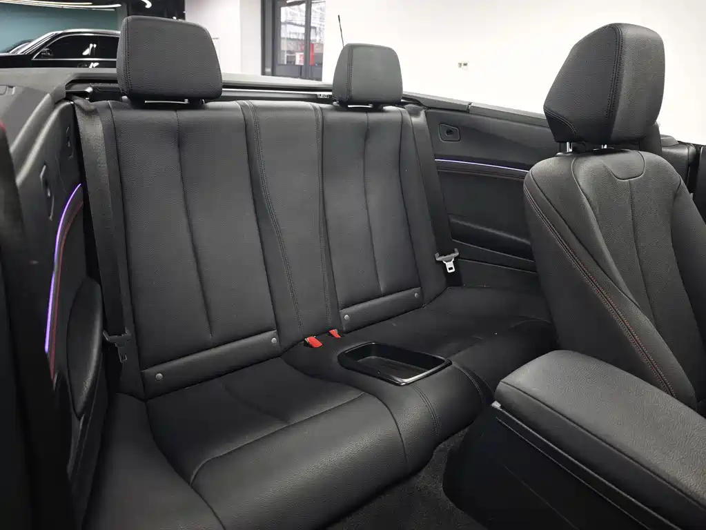 BMW 2 Series Convertible 2019 225i M Sport Package