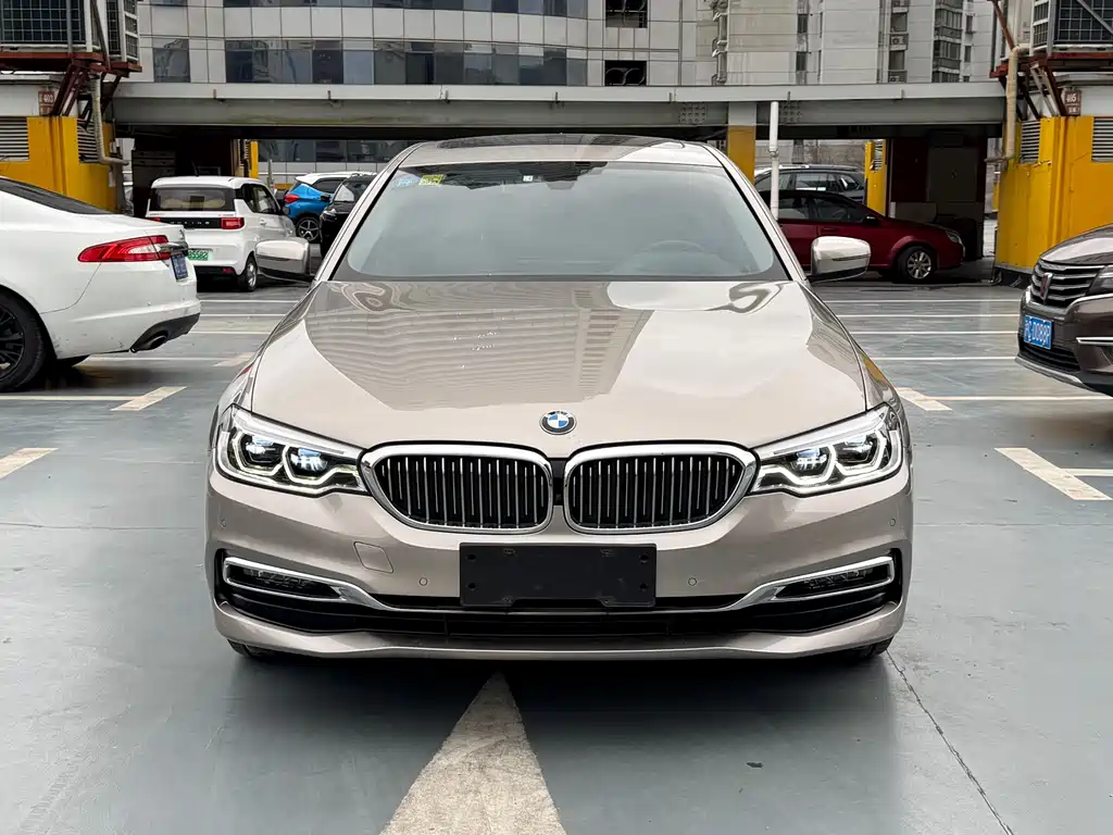 BMW 5 Series 2019 530Li Exclusive Edition Luxury Package