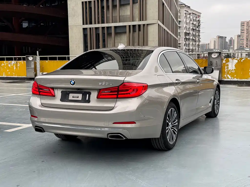 BMW 5 Series 2019 530Li Exclusive Edition Luxury Package