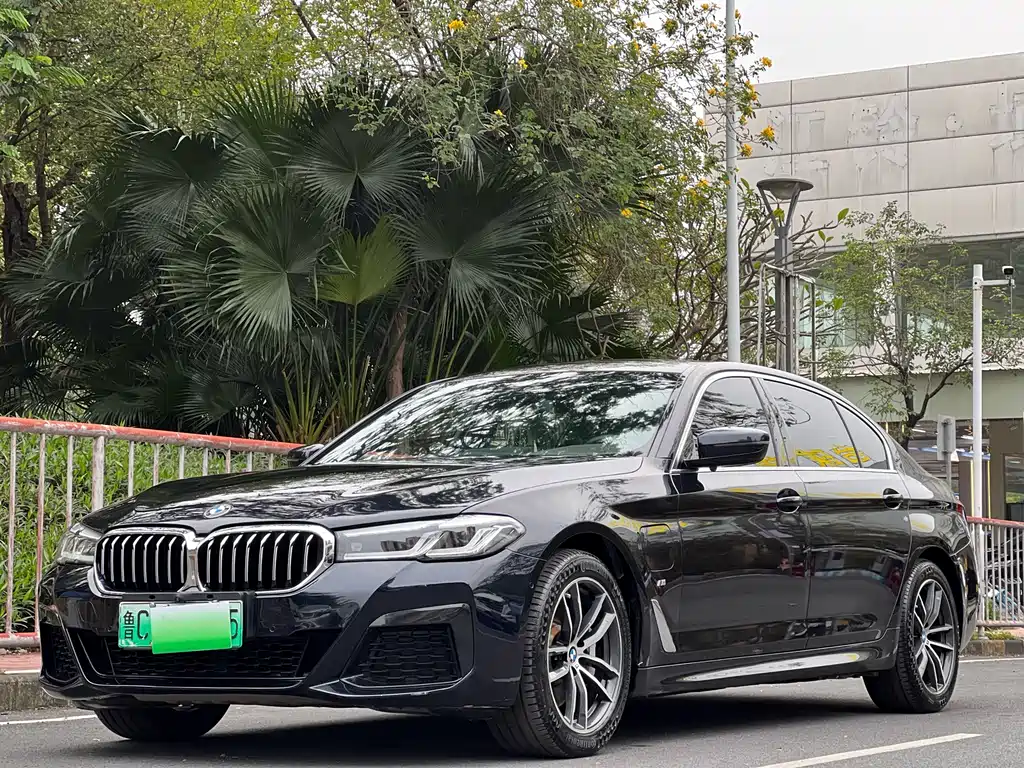 BMW 5 Series PHEV 2021 535Le M Sport Package - фото 24