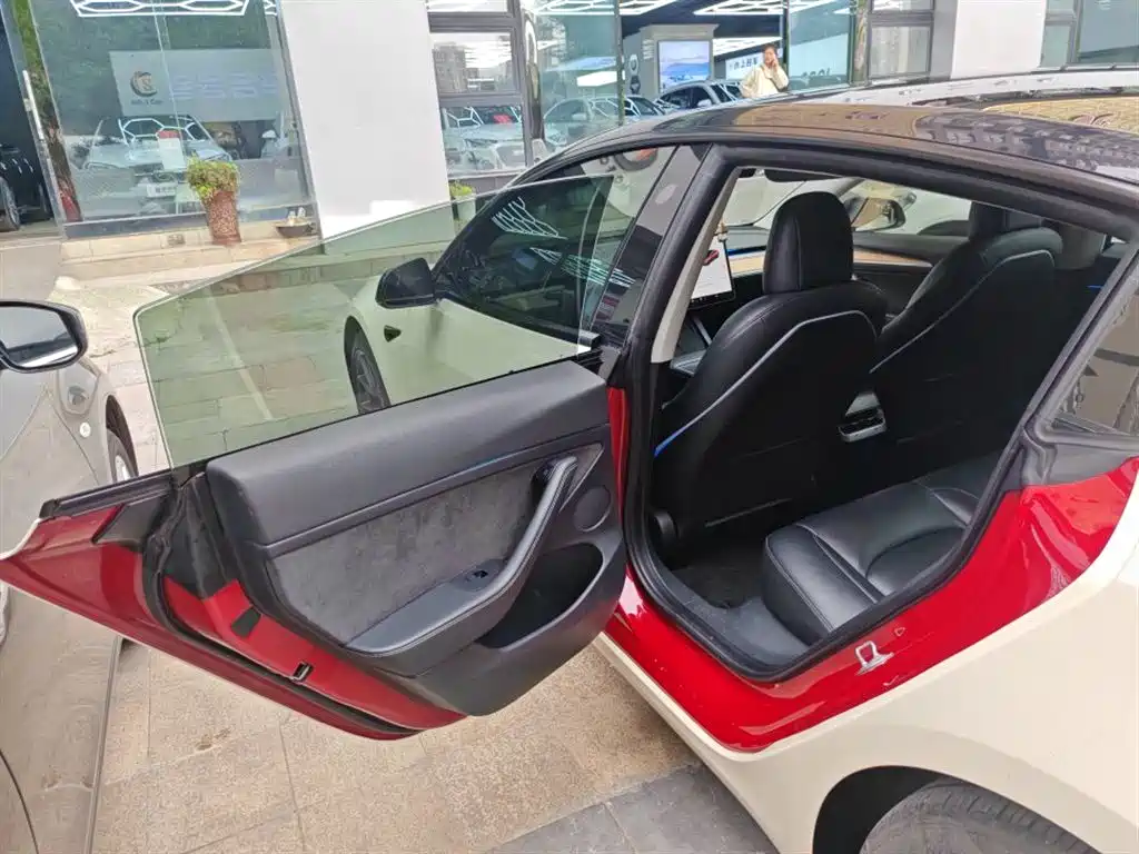 Tesla Model 3 2021 Standard Range Plus RWD 3D6