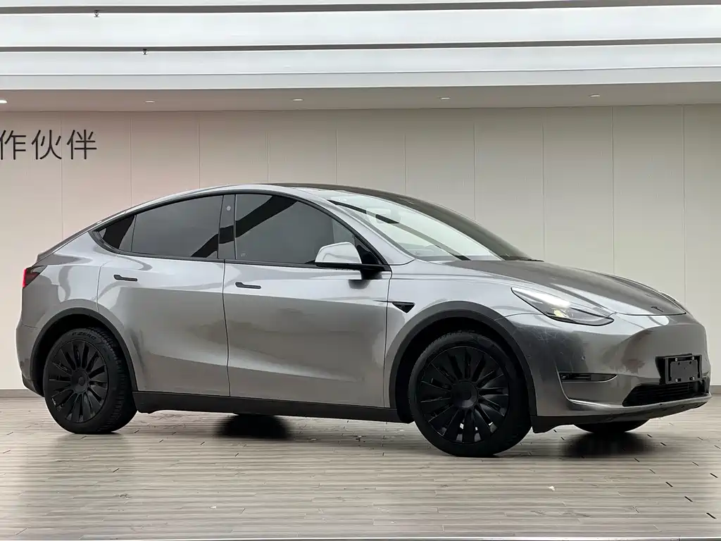 Model Y 2021 Long Range All-Wheel Drive