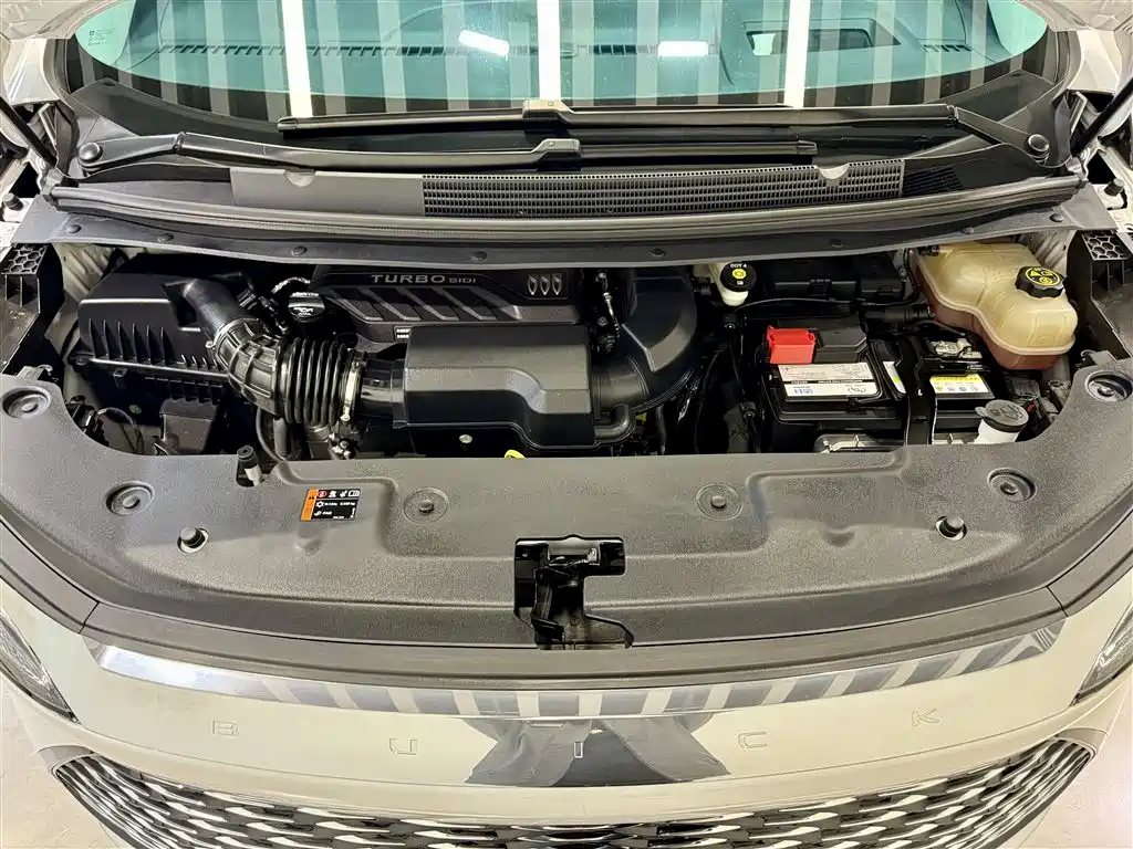 Buick Century 2023 2.0T 6-Seater Yunshi Edition
