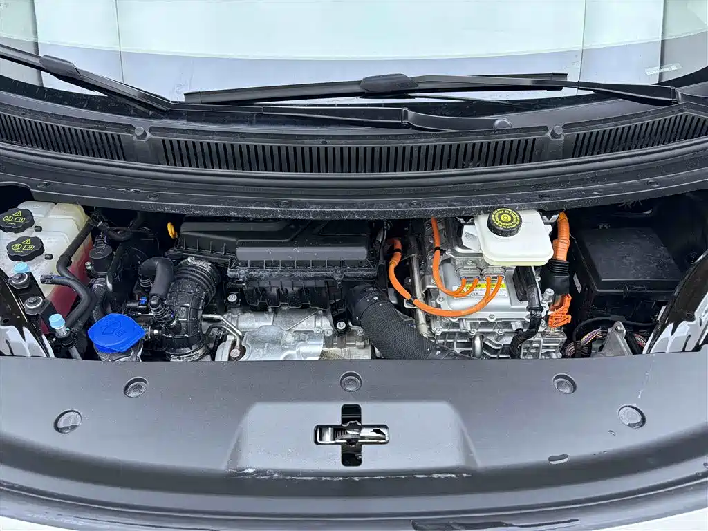 Denza D9 2024 DM-i 980 AWD Zunjong Edition