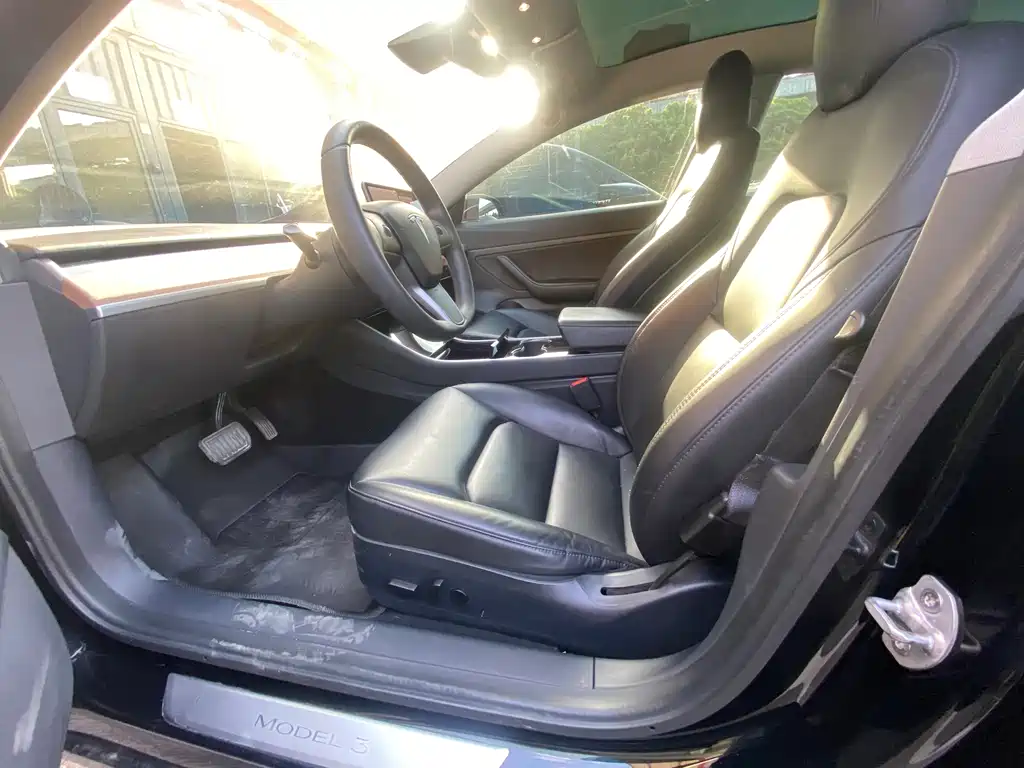 Tesla Model 3 2019 Standard Range Plus RWD