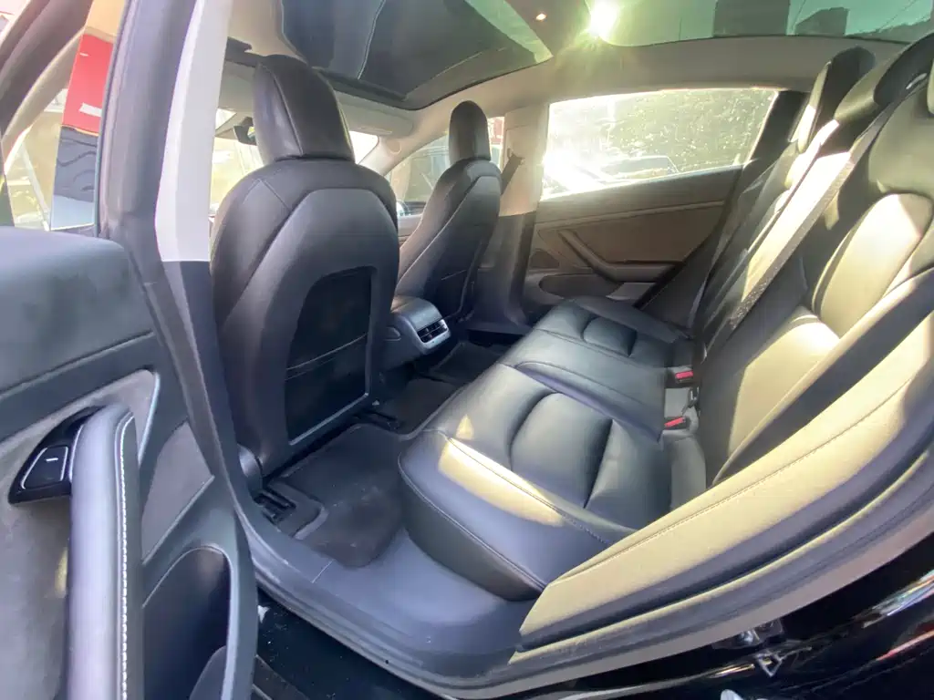 Tesla Model 3 2019 Standard Range Plus RWD