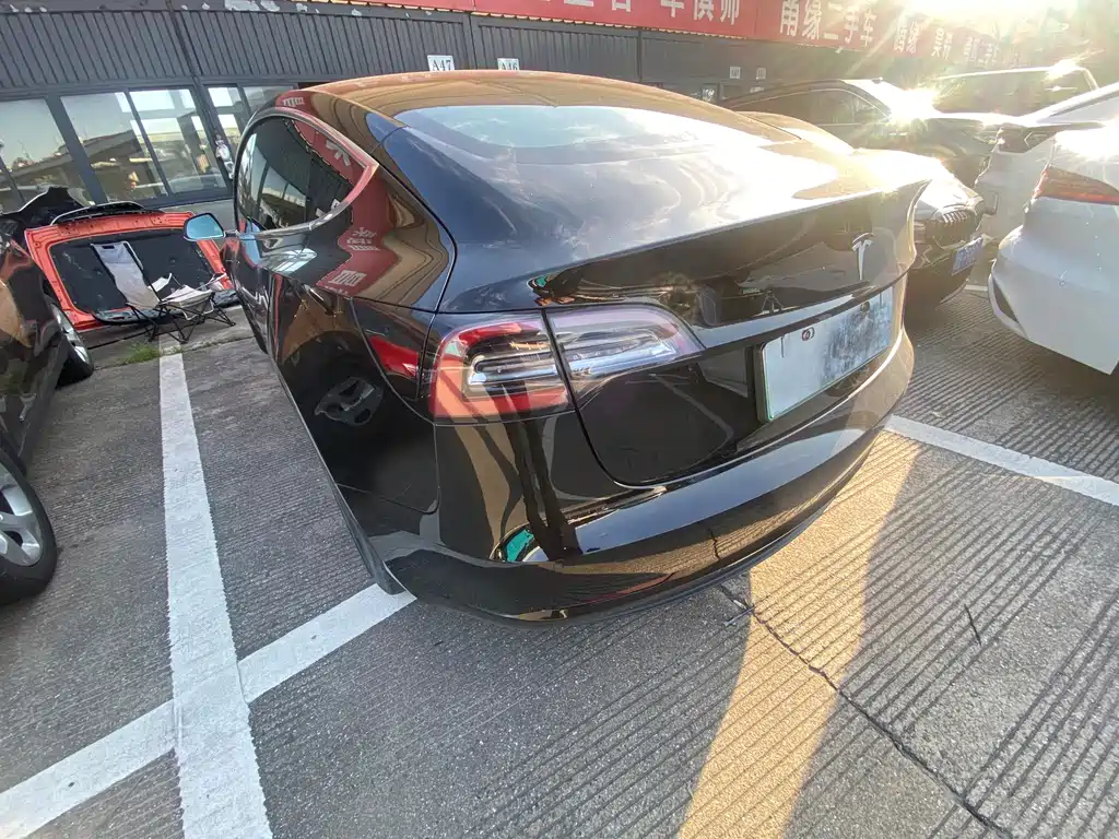 Tesla Model 3 2019 Standard Range Plus RWD
