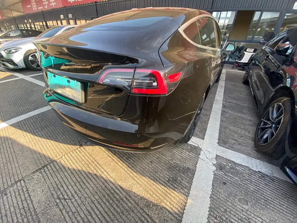 Tesla Model 3 2019 Standard Range Plus RWD