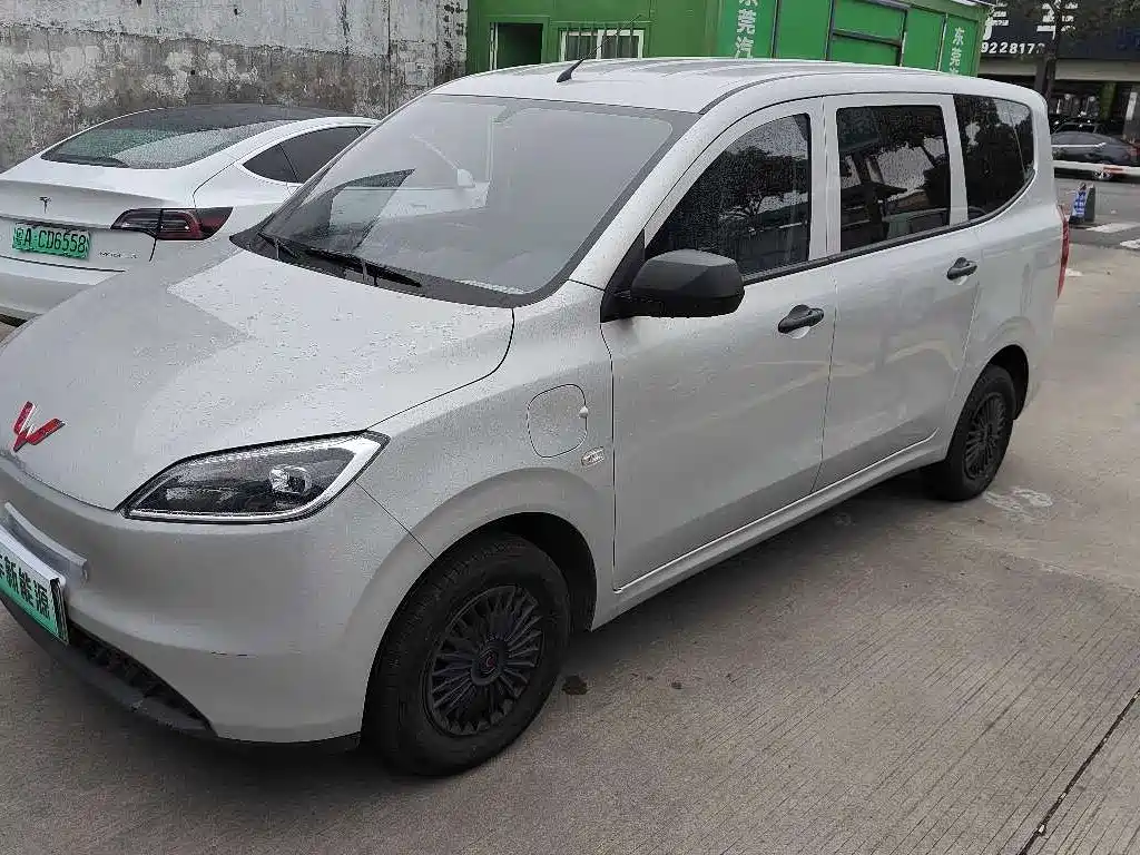 Wuling Hongguang EV 2024 Pure Electric 300KM Standard