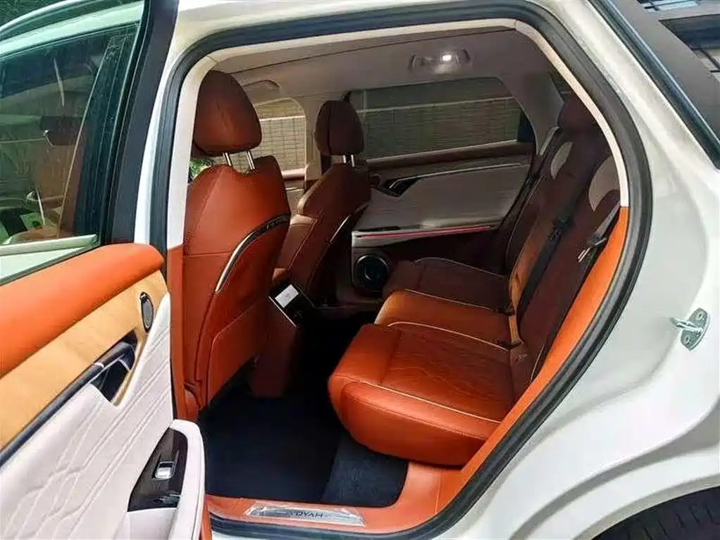 Voyah FREE 2024 Long Range Intelligent Driving Edition