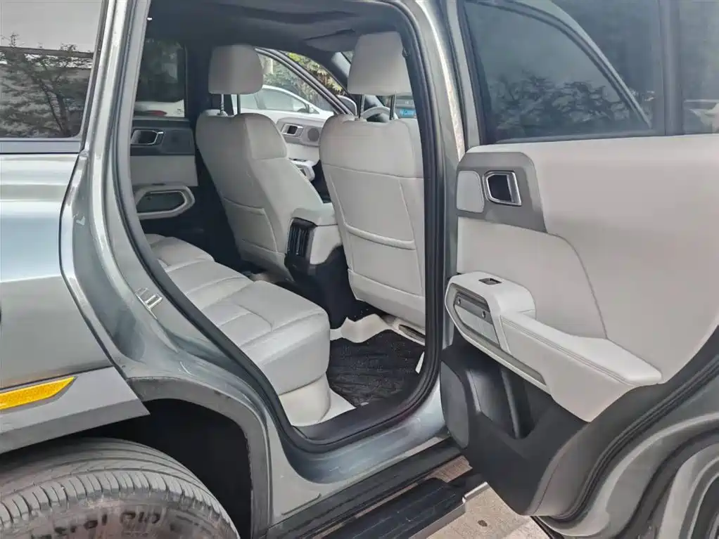 Dongfeng Nammi 01 2025 501KM AWD Max