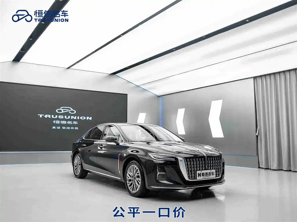 Hongqi H5 2024 2.0T Automatic ZhiLian QiChang Edition
