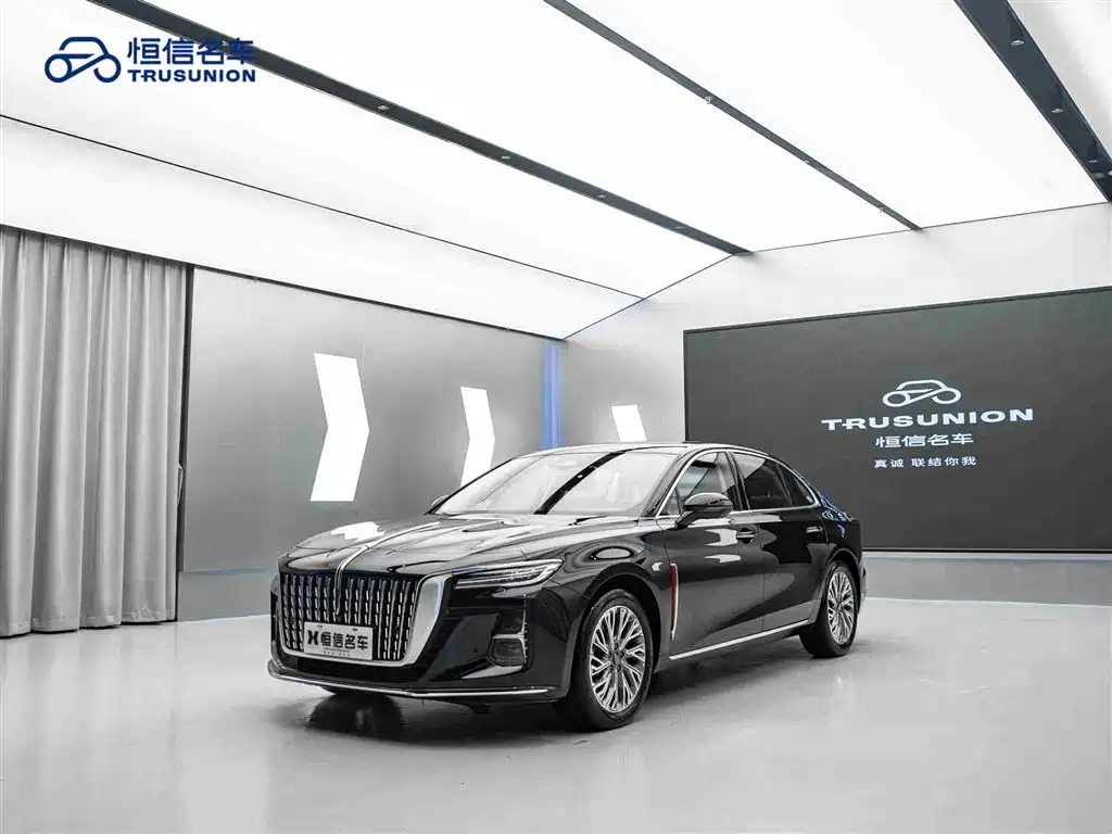 Hongqi H5 2024 2.0T Automatic ZhiLian QiChang Edition