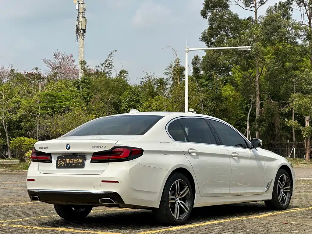BMW 5 Series 2021 530Li Leading Edition Luxury Package - фото 6