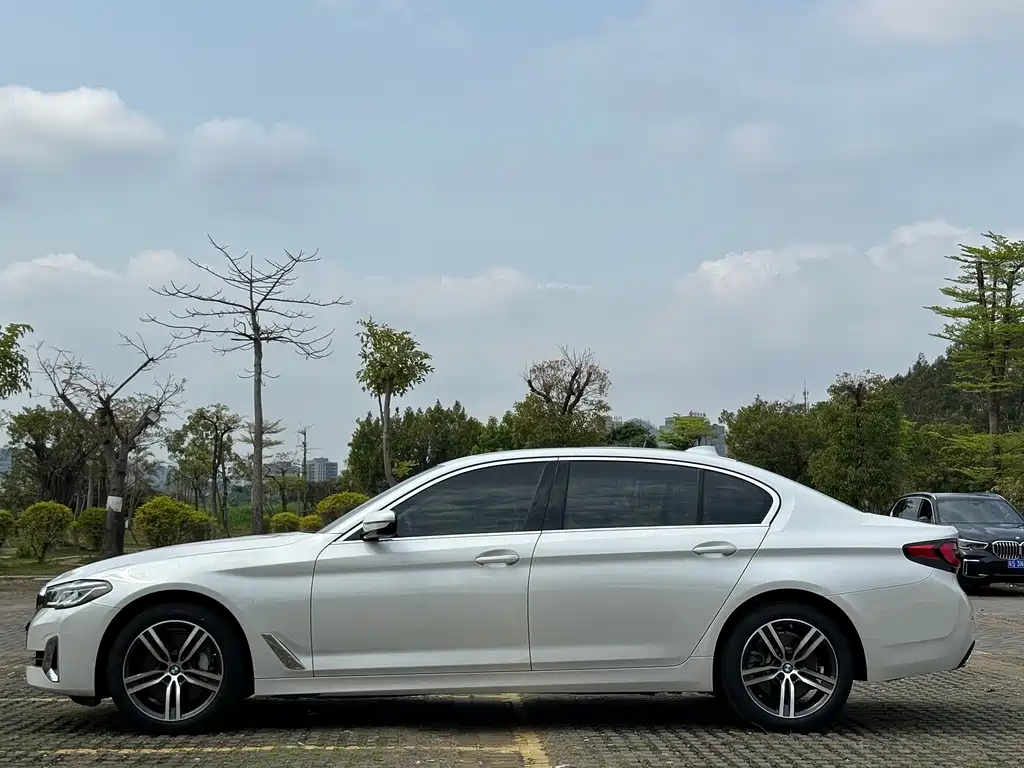 BMW 5 Series 2021 530Li Leading Edition Luxury Package - фото 18