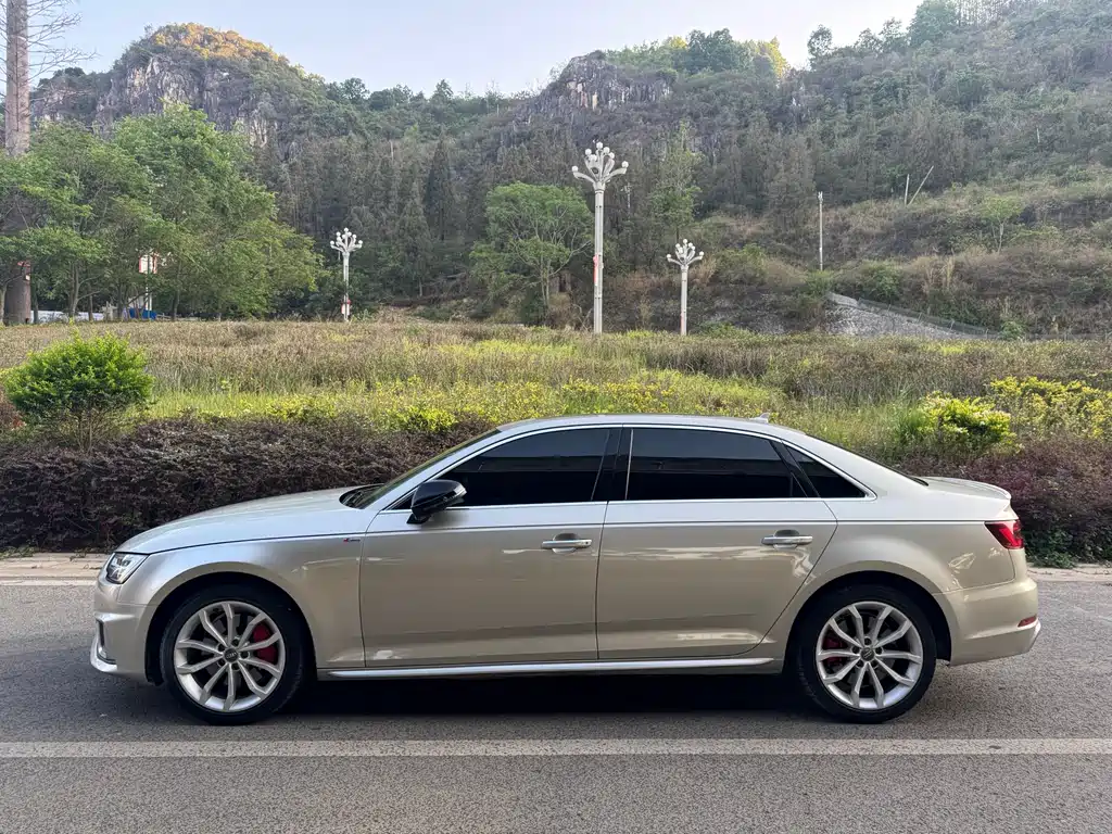 Audi A4L 2019 45 TFSI quattro Individual Sport Edition China V