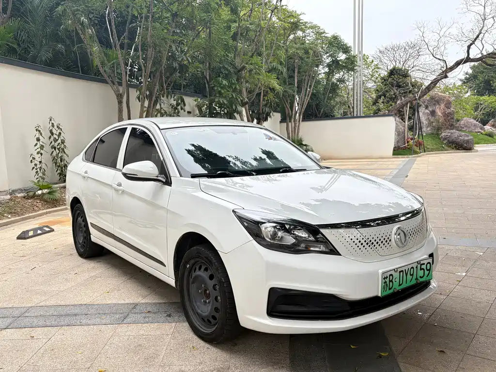 Dongfeng Fengshen E70 2021 500 Super Enjoyment Edition