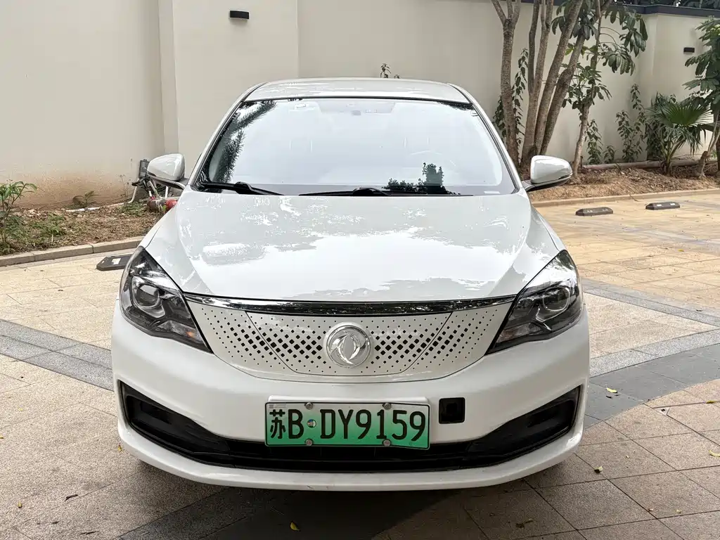 Dongfeng Fengshen E70 2021 500 Super Enjoyment Edition