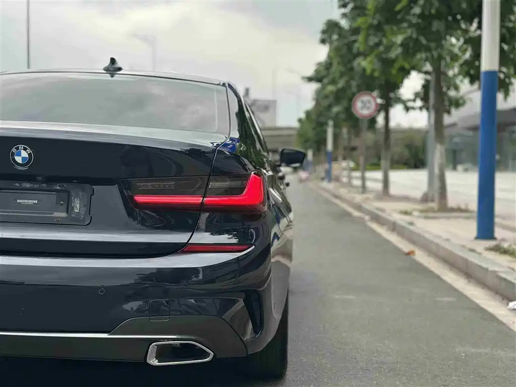 BMW 3 Series 2020 320Li M Sport Package - фото 11