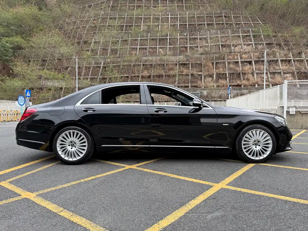 Mercedes-Benz S-Class 2020 S 350 L Business Edition Zhenzang Edition