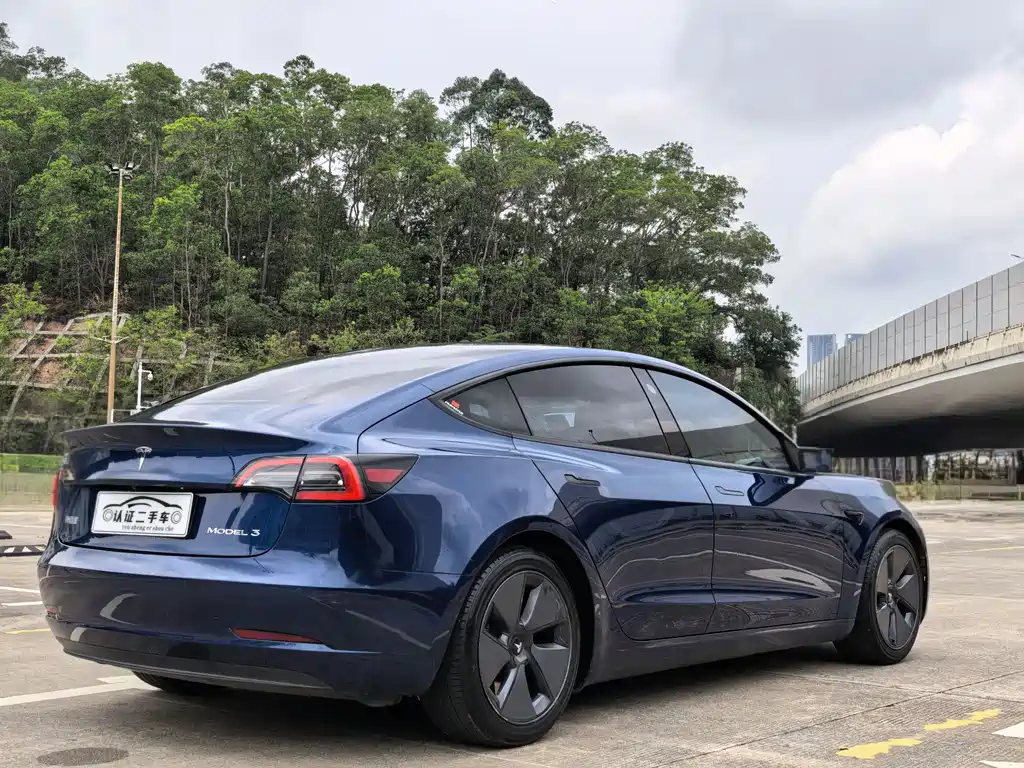 Tesla Model 3 2021 Standard Range Plus RWD
