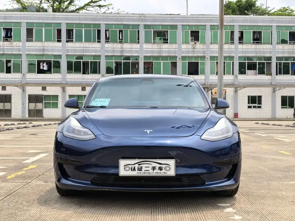 Tesla Model 3 2021 Standard Range Plus RWD