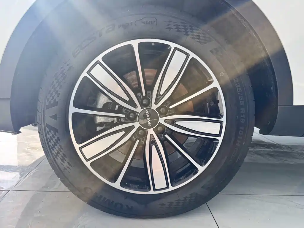 Haval H6 2023 Guochao Edition 1.5T Auto Champion Edition