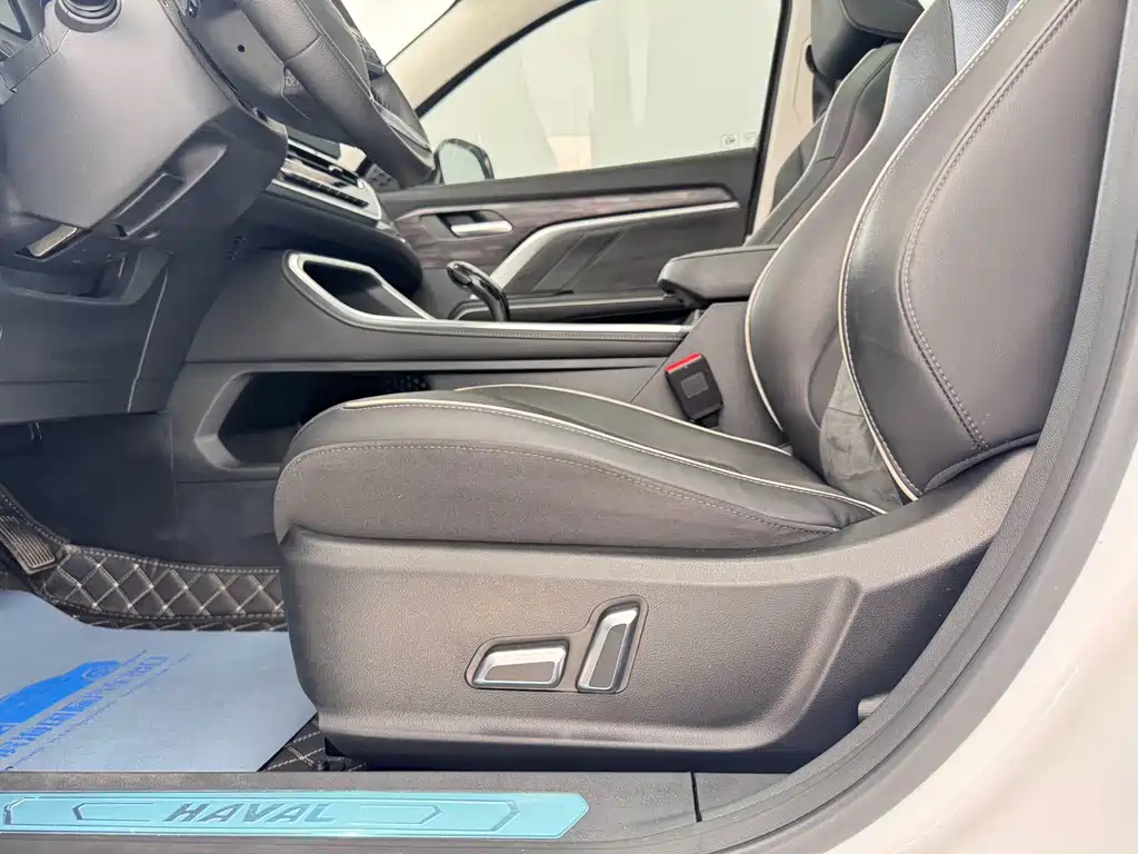 Haval H6 2023 Guochao Edition 1.5T Auto Champion Edition