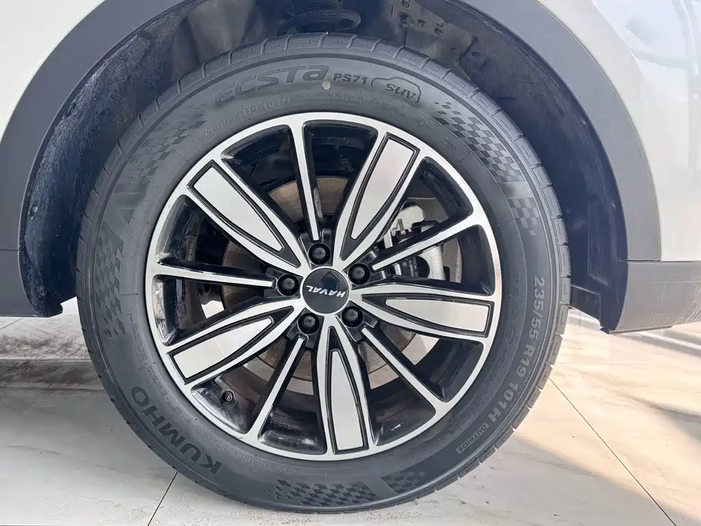 Haval H6 2023 Guochao Edition 1.5T Auto Champion Edition