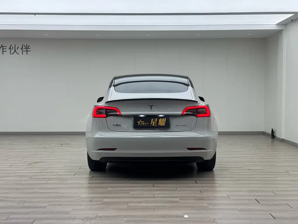 Tesla Model 3 2022 Rear-Wheel Drive