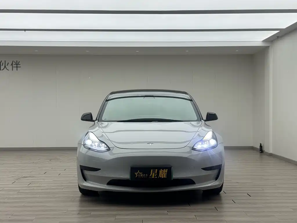 Tesla Model 3 2022 Rear-Wheel Drive