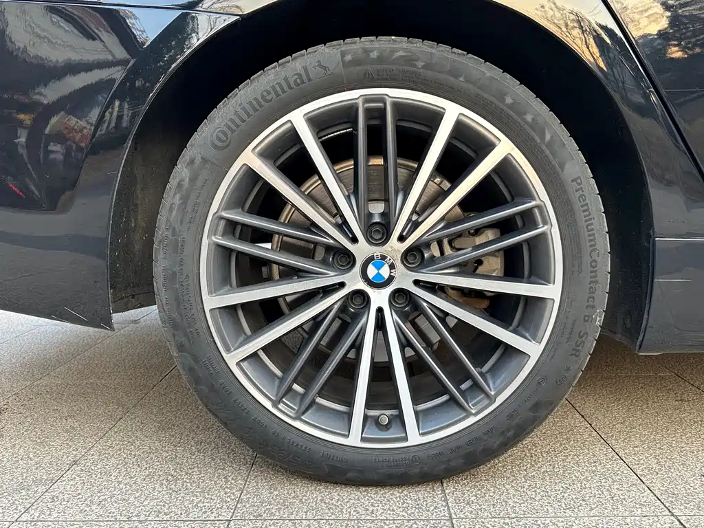 BMW 5 Series 2020 530Li Leading Edition M Sport Package - фото 15