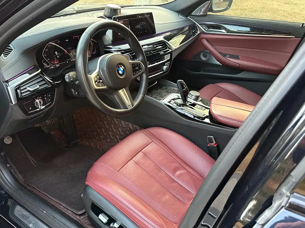 BMW 5 Series 2020 530Li Leading Edition M Sport Package - фото 9