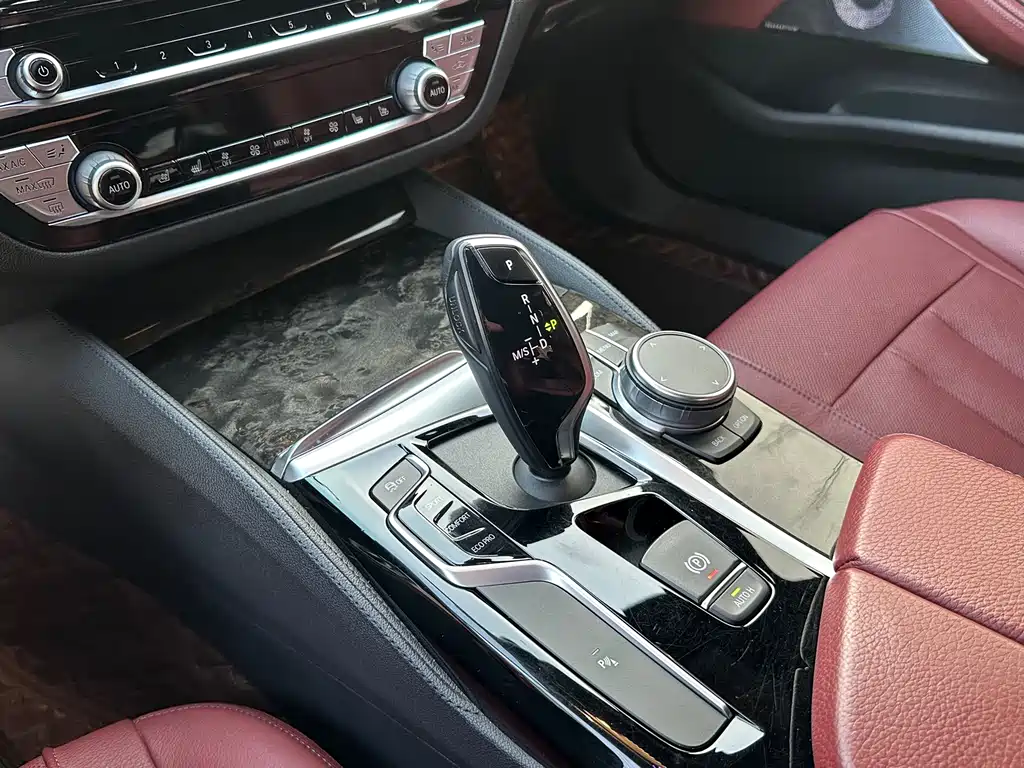 BMW 5 Series 2020 530Li Leading Edition M Sport Package - фото 11