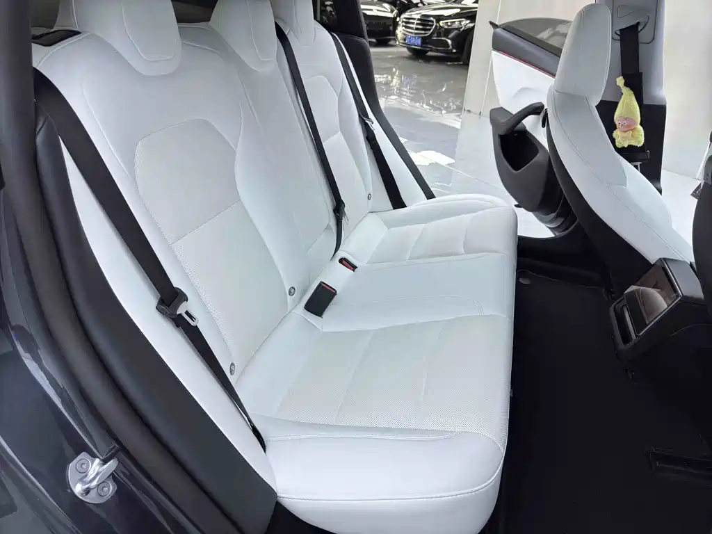 Tesla Model 3 2025 Rear-Wheel Drive