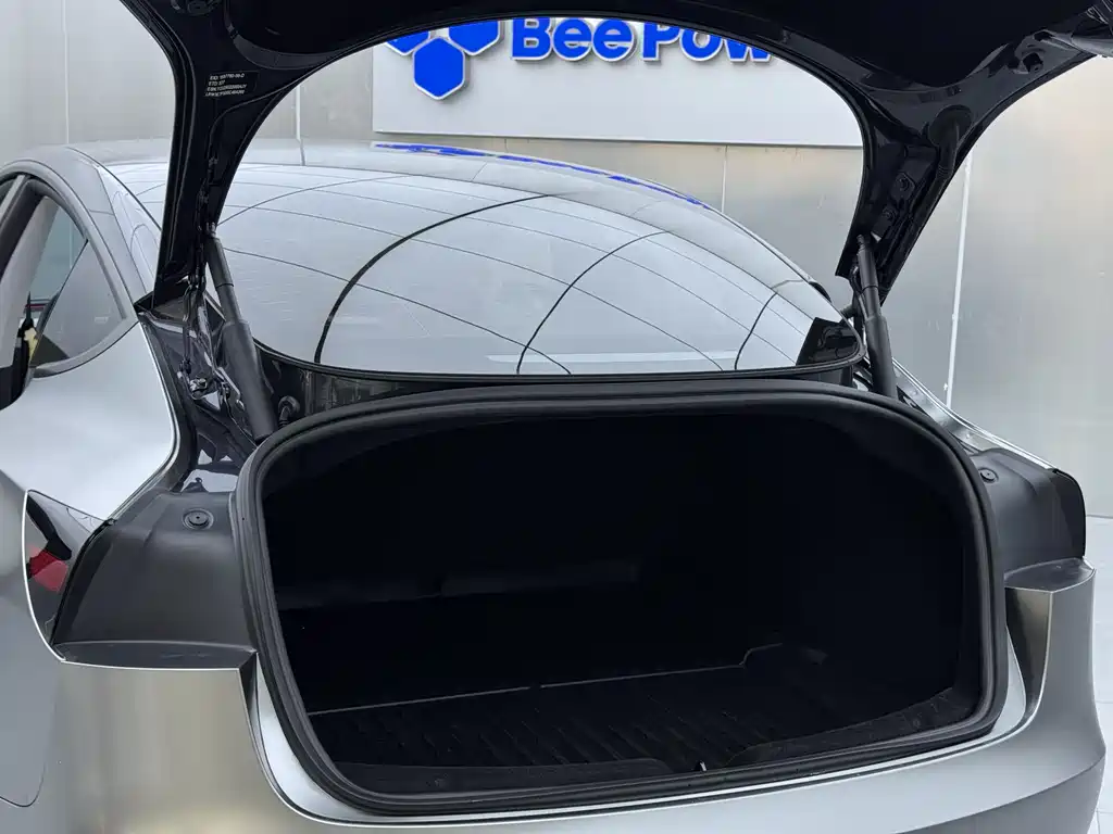 Tesla Model 3 2025 Rear-Wheel Drive