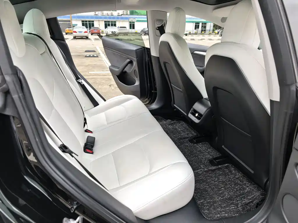 Tesla Model 3 2021 Standard Range Plus Rear-Wheel Drive 3D6