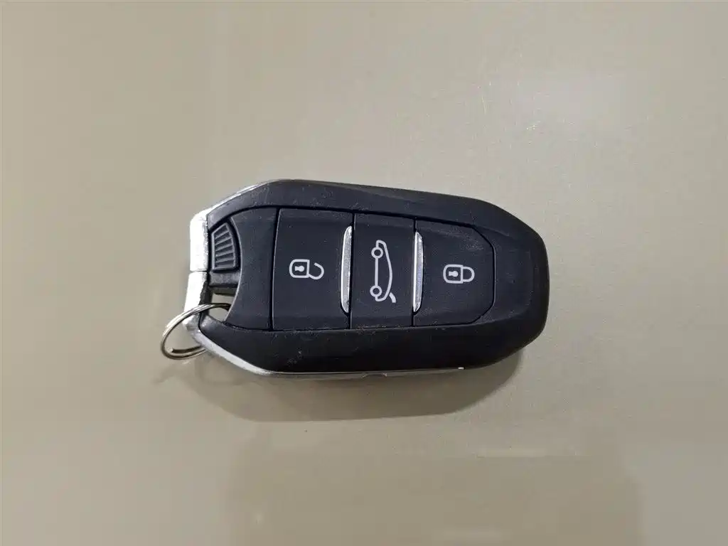 DS 5 2015 1.6T Elegant Edition THP160
