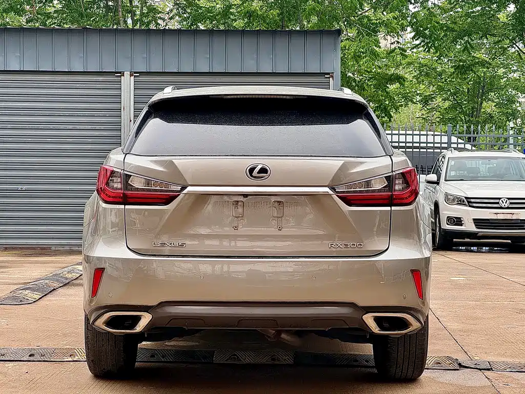 Lexus RX 2016 300 AWD Elegant Edition China V