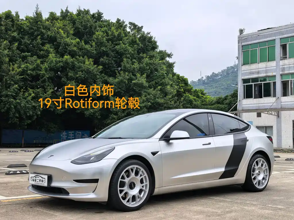 Tesla Model 3 2021 Standard Range Plus Rear-Wheel Drive 3D6