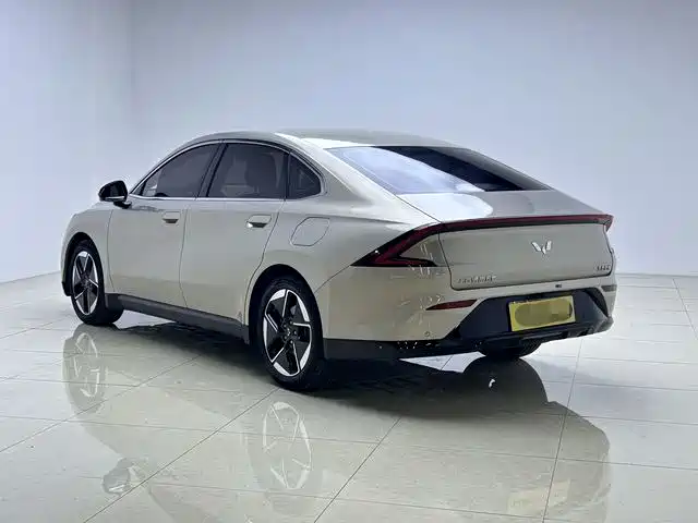 Wuling Starlight 2024 Co-Creation Edition 510 Advanced