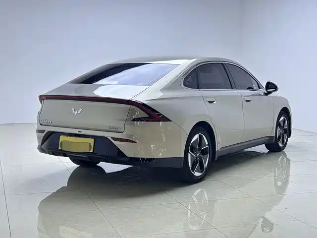 Wuling Starlight 2024 Co-Creation Edition 510 Advanced