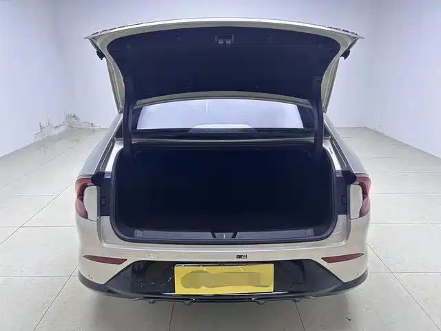 Wuling Starlight 2024 Co-Creation Edition 510 Advanced