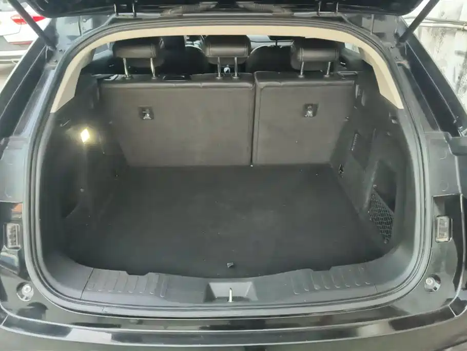 WEY VV5 2021 1.5T FWD Yan Xianfeng